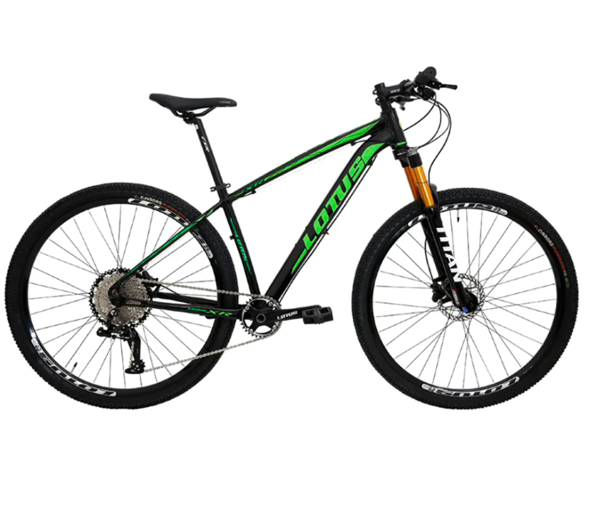 BIC 29 AL LOTUS XR QQV PTO/ROS/BCO 17.5 08232